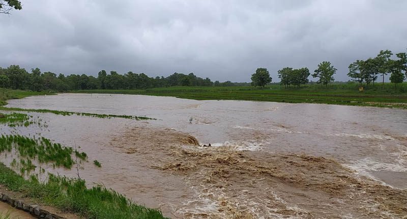 DWD Rain 2 medium