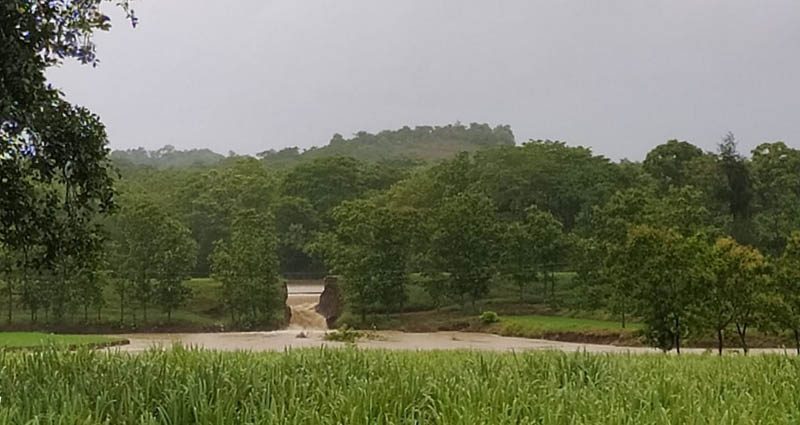 DWD Rain 3 medium