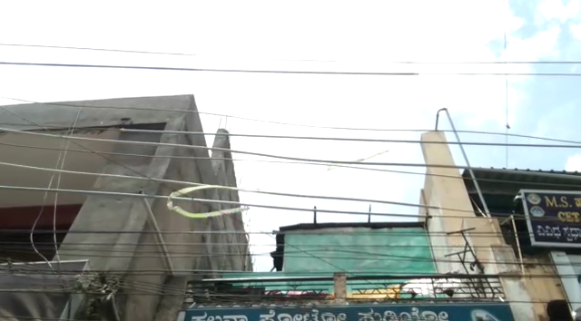 GDG KITE 3 medium