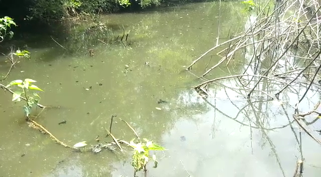 Hemavati Canal 4 medium