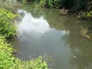 Hemavati Canal 5 small