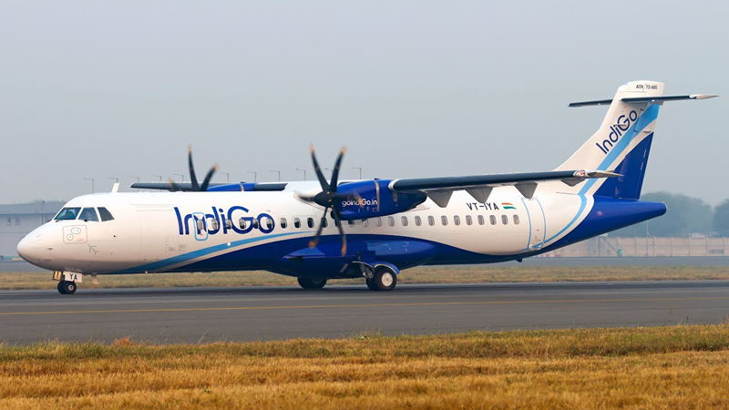 INDIGO ATR large