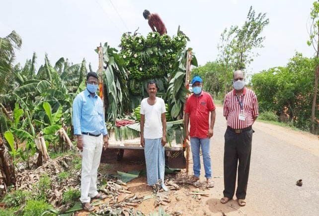 KPL Farmer 1 medium