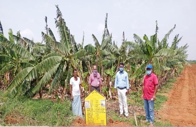 KPL Farmer 2 medium