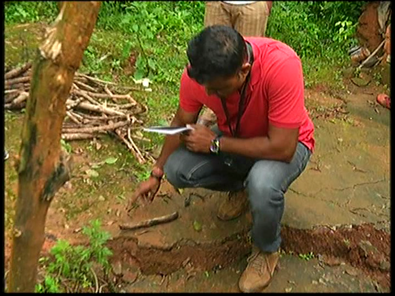 MDK LANDSLIDE 14 medium