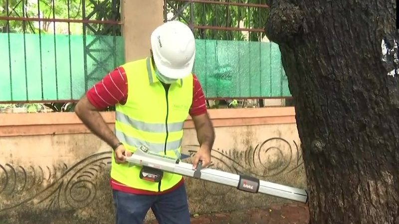 MUMBAI TREEE6 medium