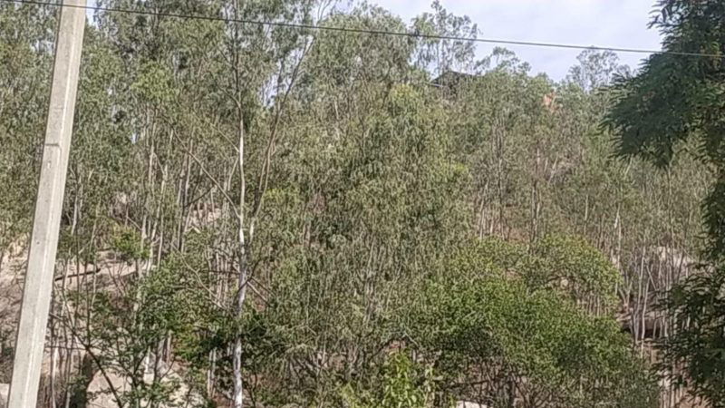 Nelamangala Mahime rangana hills8 medium