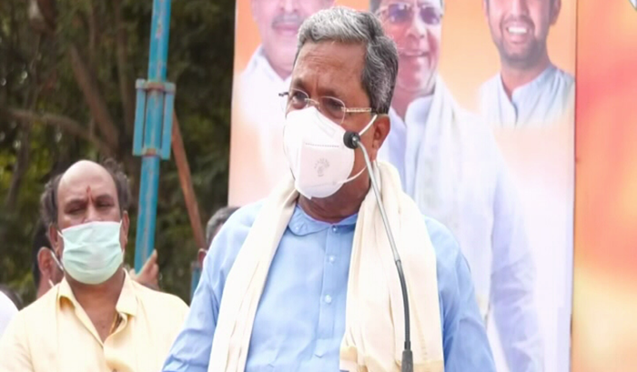 SIDDU 5 medium