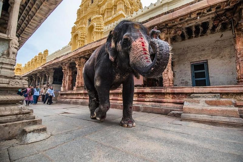 Shreenivas Yenni Photography 12 medium