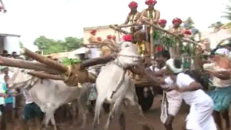 Sri Brahmalingeshwara Fair 2 medium
