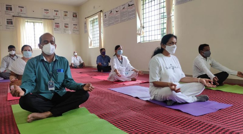 UDP YOGA 2 medium