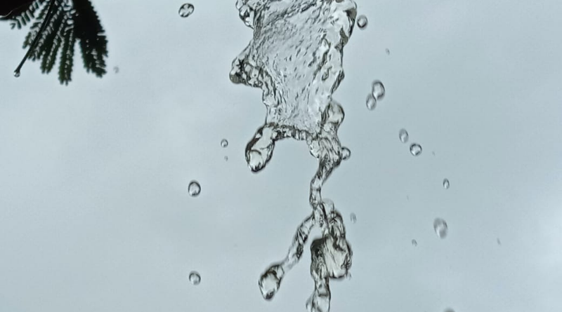 UDUPI RAIN 2 medium