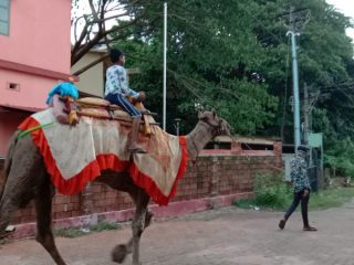 Udupi ONTE SAVRI4 small