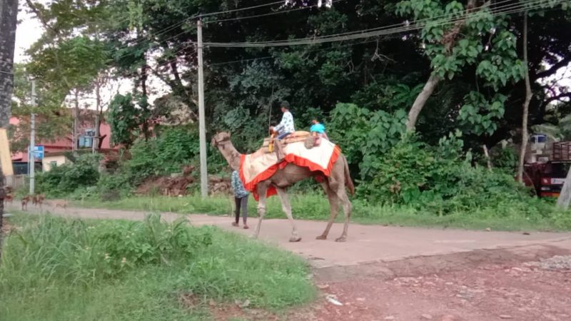 Udupi ONTE SAVRI8 medium