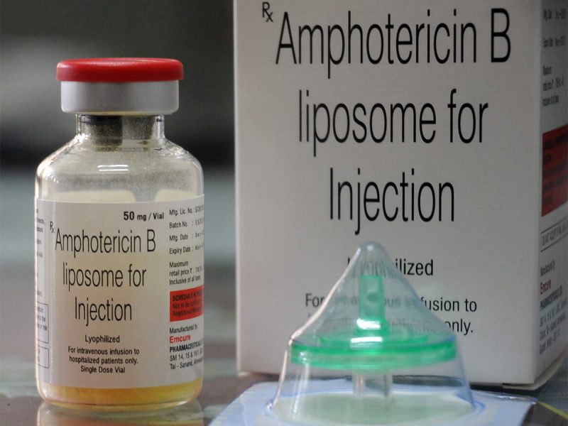 amphotericin b medium