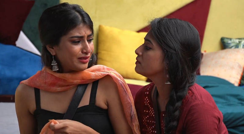 biggboss 3 medium
