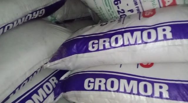 bij fertilizer 6 medium
