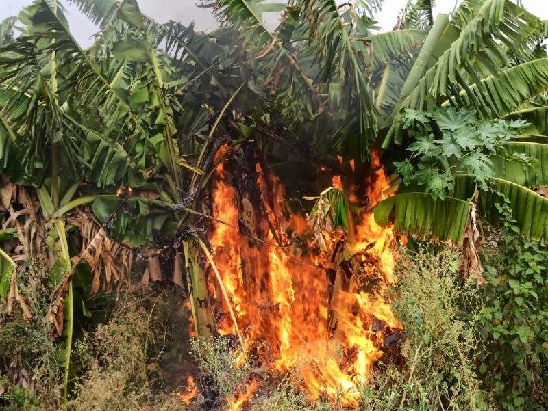 bij fire 2 2 medium