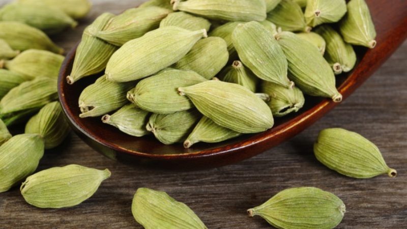 cardamom1 medium