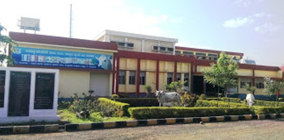 chamul medium