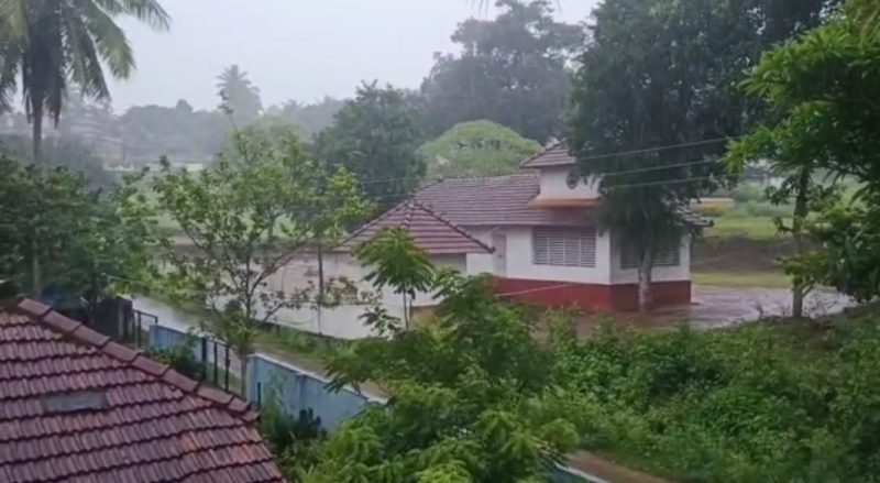 ckm rain 2 medium