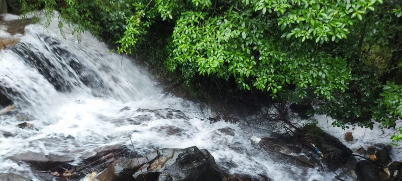 ckm water falls 2 3 medium