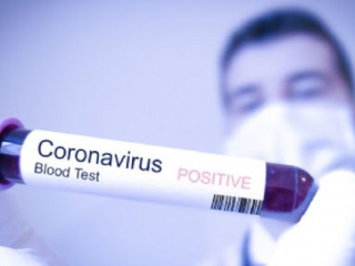 corona virus 4 small