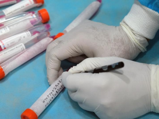 corona virus small