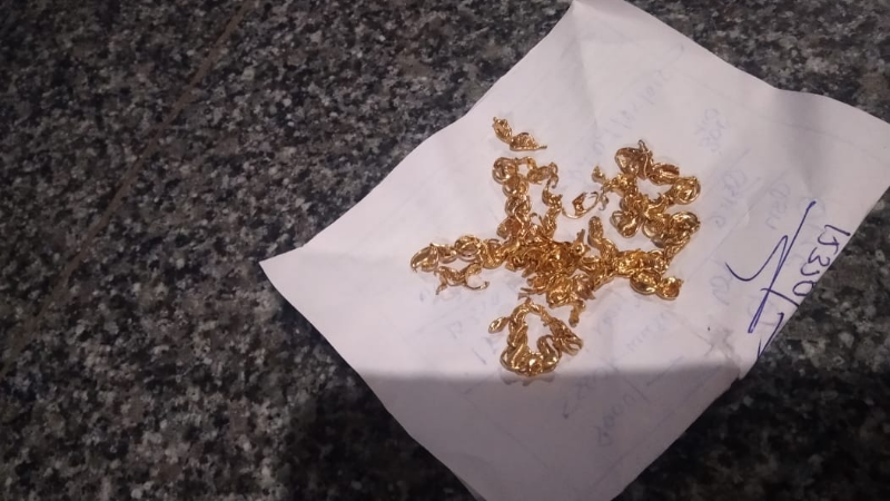 dog 3 medium