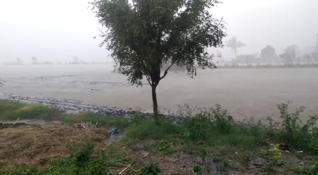 dwd rain 2 1 medium