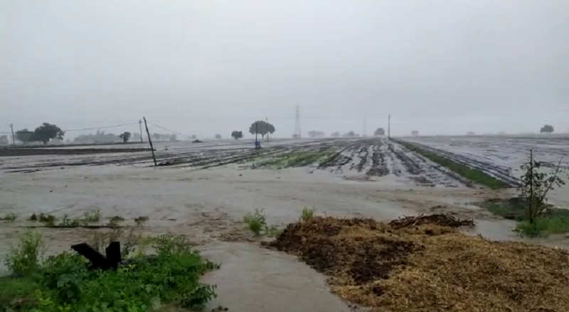 dwd rain medium
