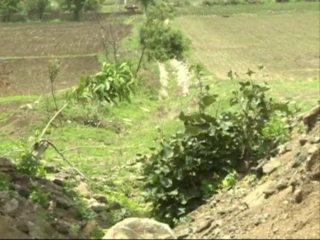 glb nagaral dam 2 12 medium