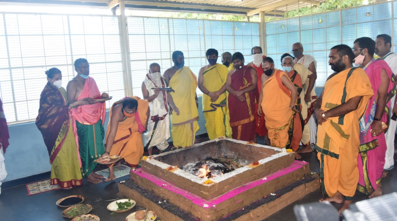 homa 1 medium