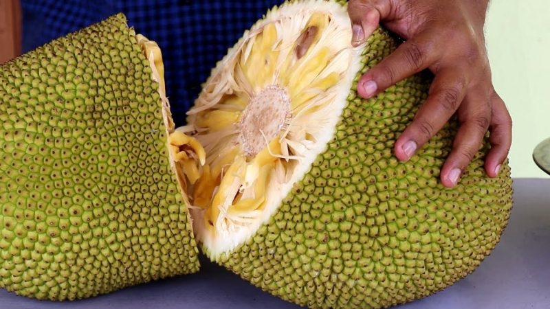 jackfruit7 2 large