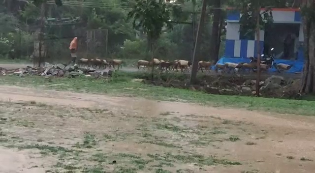 klr rain 3 medium