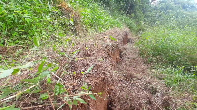 mdk landslide 17 medium