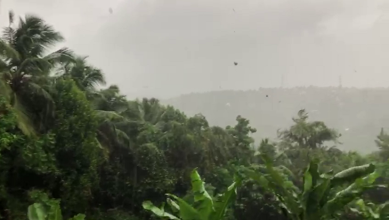 mng rain medium