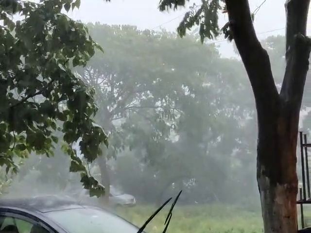rain 1 1 medium