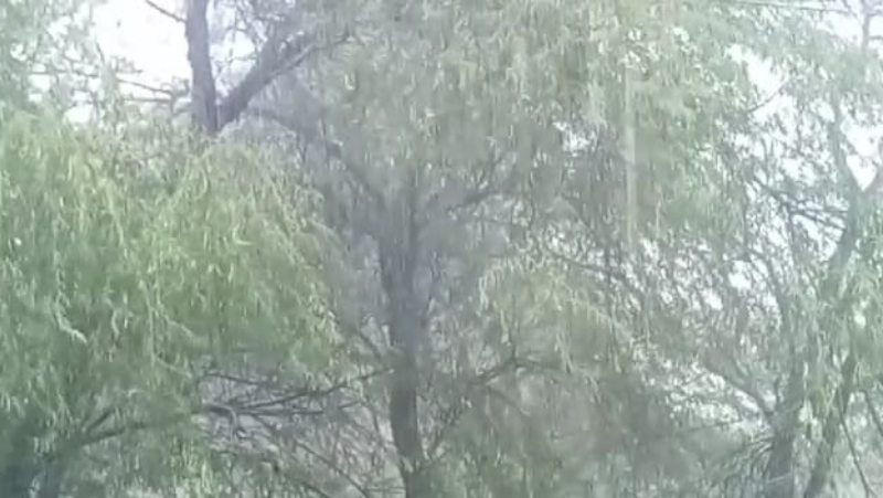 rain 1 2 medium