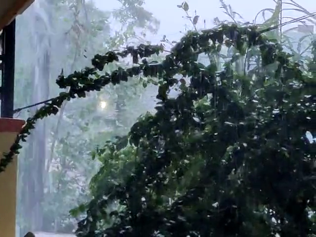 rain 2 1 medium