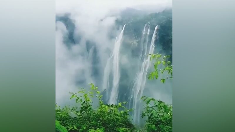 smg jog falls medium