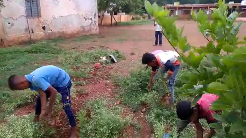 sudeep fans 2 medium