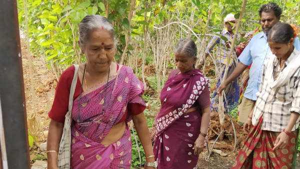 sumangalamma1 1603884896 medium