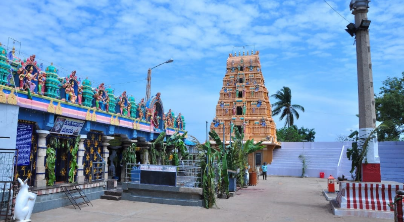 temple 2 medium