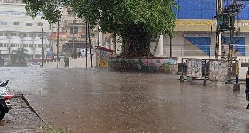 udp rain medium