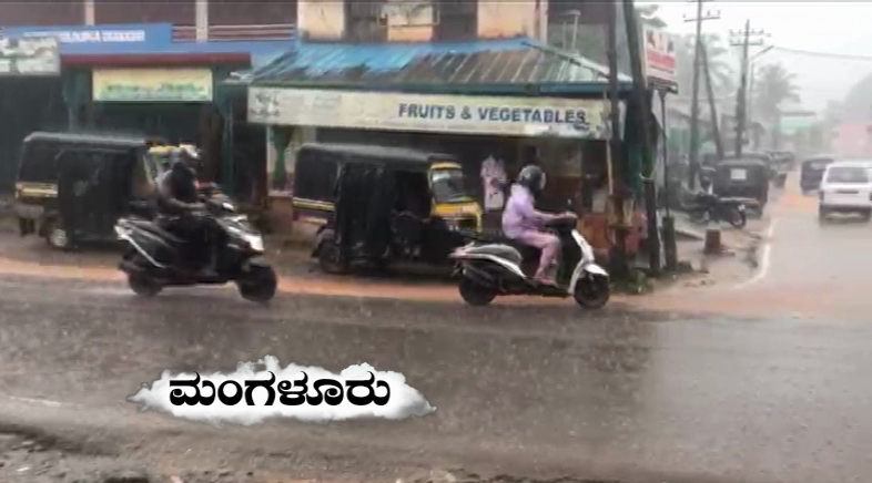 MNG Rain medium