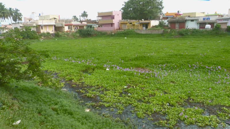 klr muniswamy kalyani clean 1 medium