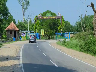 Bandipur Tiger Reserve And National Park Road 1