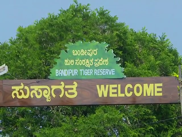 Bandipur Tiger Reserve And National Park Road 2