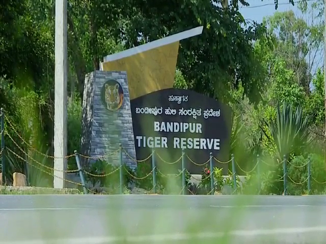 Bandipur Tiger Reserve And National Park Road 3
